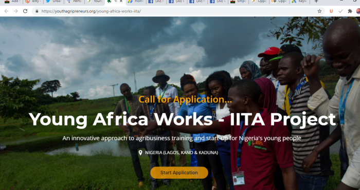 The International Institute for Tropical Agriculture (IITA) Training Application